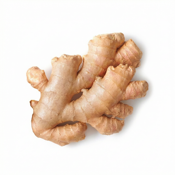 Ginger Root